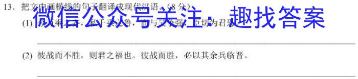 天一大联考皖豫名校联盟体2023届高中毕业班第三次考试语文