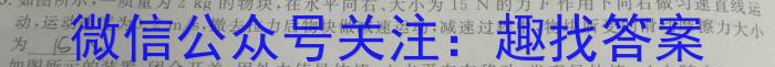 江西省萍乡市2023年九年级学业水平模拟考试物理`