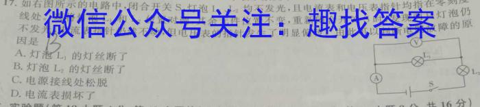 天一大联考·安徽卓越县中联盟 2022-2023学年(下)高一阶段性测试(期中)l物理