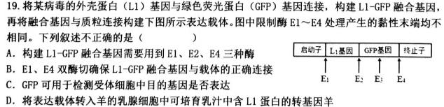 师大名师金卷2023年陕西省初中学业水平考试（七）生物