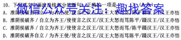 安徽省2023年九年级阶段调研（5月）语文