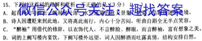 山西省2022-2023学年度八年级第二学期阶段性练习(三)语文