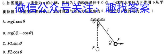 2023衡水金卷先享题压轴卷答案 新高考一l物理