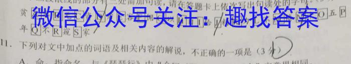 山西省2022-2023学年第二学期九年级教学质量监测（23-CZ175c）语文