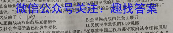 2023届潍坊市高三二模考试历史试卷