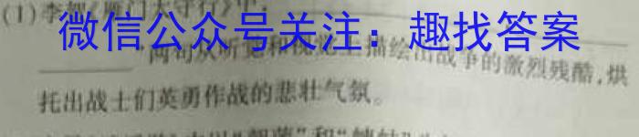 2023年普通高校招生考试冲刺压轴卷XGK(七)语文