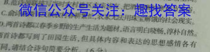 江西省2023年初中学业水平考试适应性试卷（二）语文