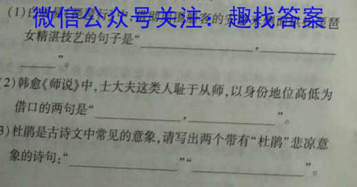 山西省2022-2023学年高一下学期期中联合考试（23-411A）语文