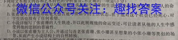 （二轮）名校之约·中考导向总复习模拟样卷（九）语文