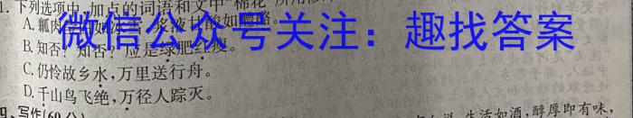 学科网2023年高三5月大联考考后强化卷(全国甲卷)语文