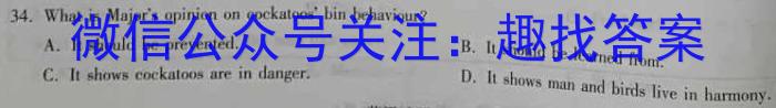 安徽省2025届七年级第七次阶段性测试(R-PGZX G AH)英语