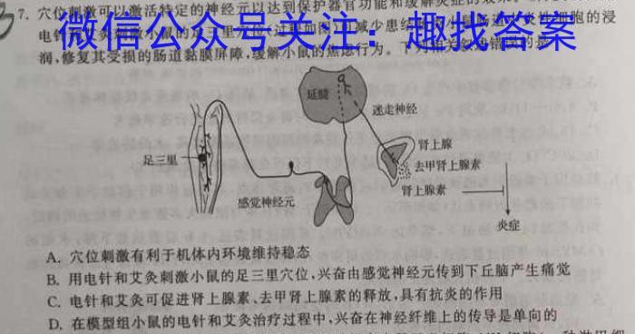 2023届全国普通高等学校招生统一考试 JY高三终极一考卷(一)生物