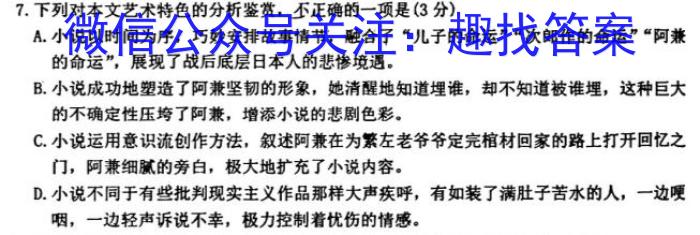 文博志鸿 2023年河北省初中毕业生升学文化课模拟考试(状元卷二)语文