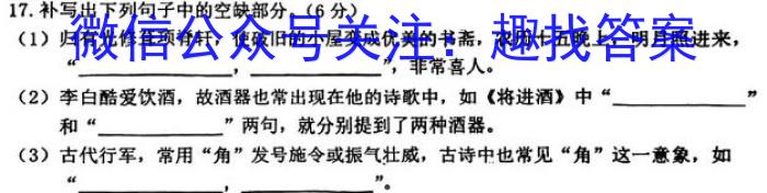 2022-2023学年安徽省九年级下学期阶段性质量检测（七）语文