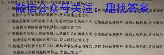 安徽省2023年肥西县九年级第二次质量调研语文