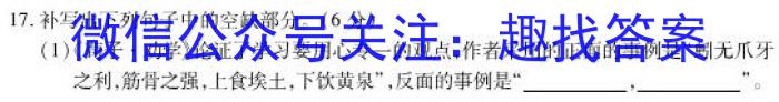 黑白卷 2023年普通高等学校招生全国统一考试(白卷)语文