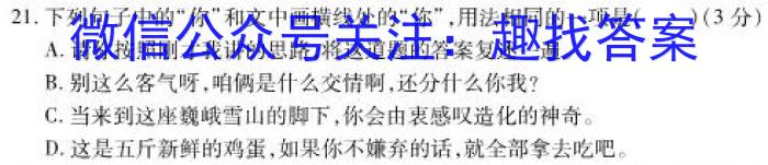 2023年湖南新高考教学教研联盟高一5月联考语文