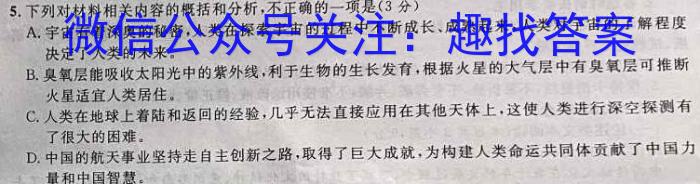 强基路985天机密卷 2023年普通高等学校统一招生模拟考试(新高考全国Ⅰ卷)(二)语文