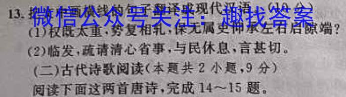 2023届智慧上进·名校学术联盟·考前冲刺·精品预测卷(四)语文