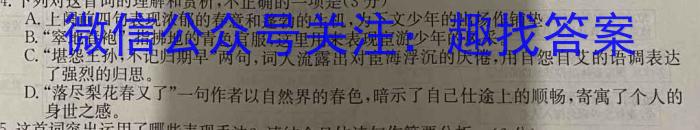 安徽省2023年最新中考模拟示范卷(四)语文