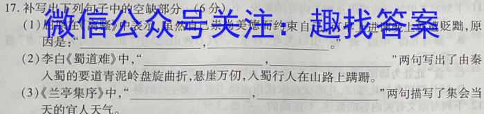 2023年普通高等学校招生全国统一考试信息模拟测试卷(新高考)(五)语文
