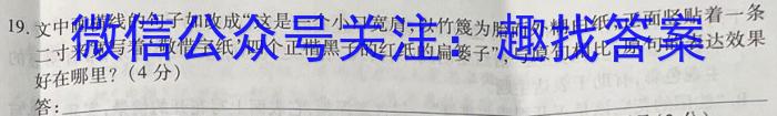 2023年安徽省初中学业水平考试冲刺试卷（二）语文