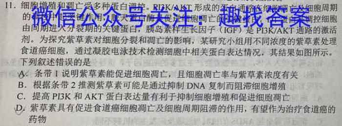 安徽省毫州市蒙城县2022-2023学年度九年级第二学期第三次模考生物