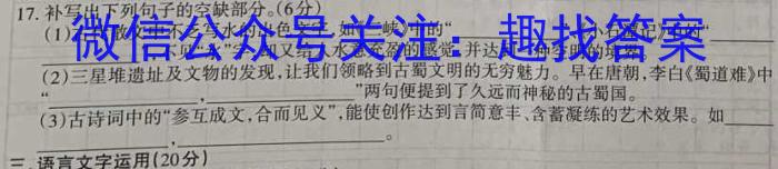 文博志鸿 2023年河南省普通高中招生考试模拟试卷(预测二)语文