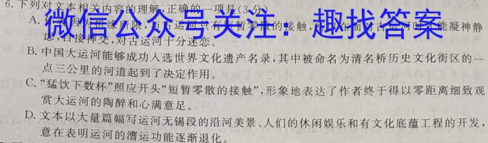 2023年河南大联考高三年级5月联考（5003C·HEN）语文