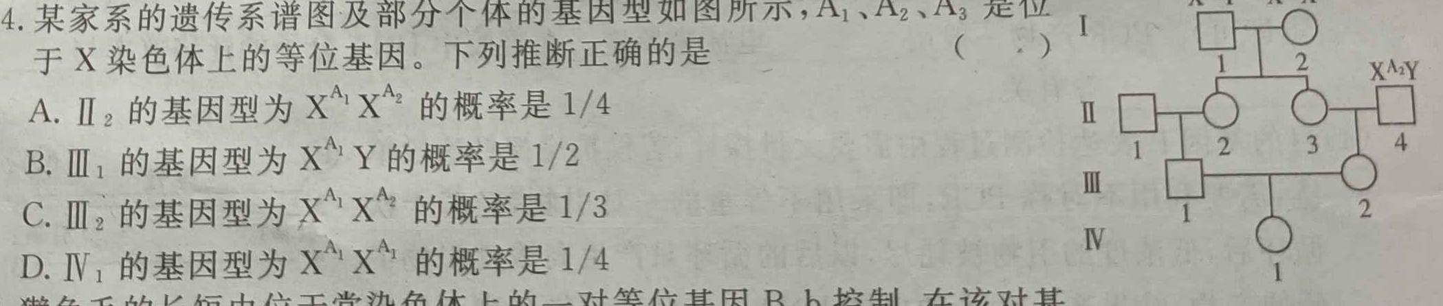 京师AI联考2023届高三质量联合测评全国乙卷(二)生物