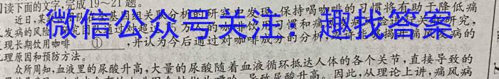 2023届中考导航总复习·模拟·冲刺·二轮模拟卷(六)6语文