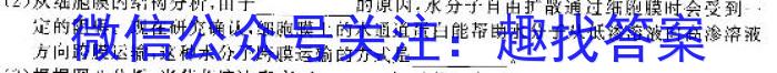 2023年湖南大联考高三年级4月联考生物试卷答案