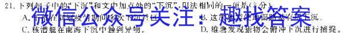 新疆乌鲁木齐2023年高三年级第三次质量监测(问卷)语文