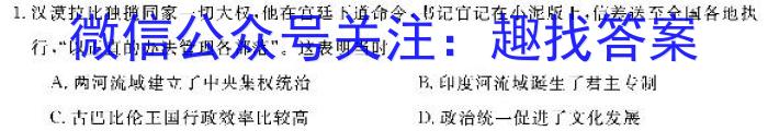 安徽省2022-2023学年九年级联盟考试（三）历史