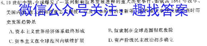 师大名师金卷2023年陕西省初中学业水平考试（五）历史