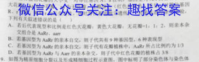 2023年“云教金榜”N+1联考·冲刺测试生物
