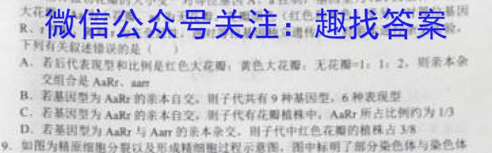 衡中同卷 2022-2023学年度下学期高三四调考试(新教材)生物