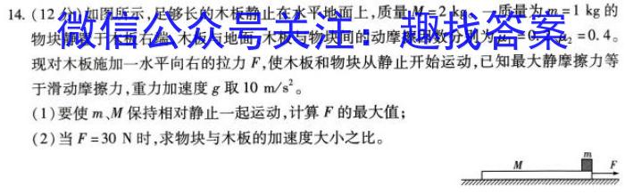 莆田市2023届高中毕业班第四次教学质量检测（☎）q物理