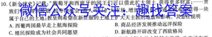 河南省2023年九年级考前适应性评估二历史