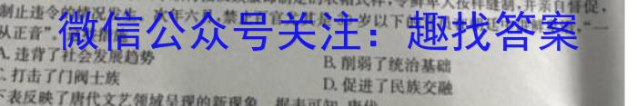2022-2023学年陕西省八年级期中教学质量检测(23-CZ162b)历史