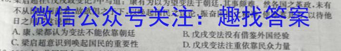 2023年普通高等学校招生全国统一考试·临门一卷(二)历史