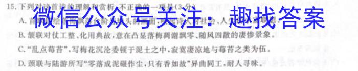 安徽省2023年第六次中考模拟考试练*语文