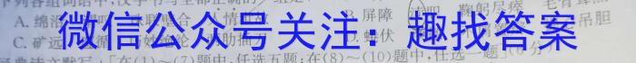 2023年内蒙古大联考高三年级5月联考（23-427C）语文