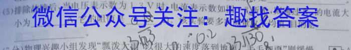 2023年陕西省初中学业水平考试·冲刺压轴模拟卷（一）.物理