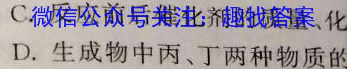 木牍大联考2023年4月安徽中考名校信息联考卷化学