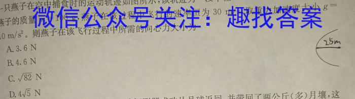 安徽省2023届九年级第七次阶段性测试(R-PGZX G AH)物理.