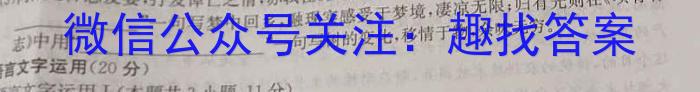 京师AI联考2023届高三质量联合测评全国乙卷(二)语文