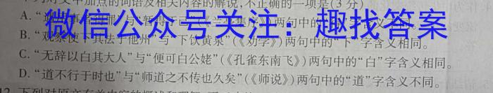 湖北省2022-2023学年度下学期期中新洲区部分学校高中二目标检测语文