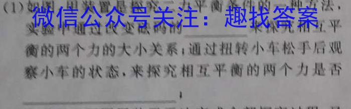 2023年湖南省普通高中学业水平合格性考试仿真试卷(专家版四)物理`