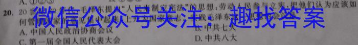 安徽省2023年九年级阶段调研（5月）历史